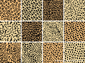 Animal Print Patterns Brush Set for Procreate | 36 animal hide, leopard, skin, stripe, scale & fur brushes, title page, patterns page 1