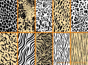 Animal Print Procreate Brush Set, leopard spots, stripes & scales patterns, pattern styles page 3