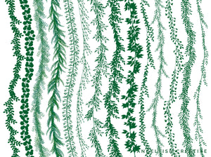 Greenery Wreath Procreate Brush Set, 80 Leaf Vine Brushes, brushes page 2