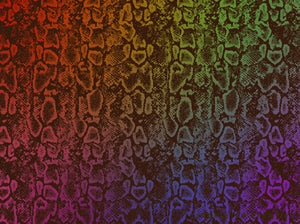 Snake Print Pattern Brushes for Procreate, rainbow snake skin