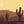 Cactus Brush for Procreate | Spiky Plant Succulent Line Pattern Brush, desert scene