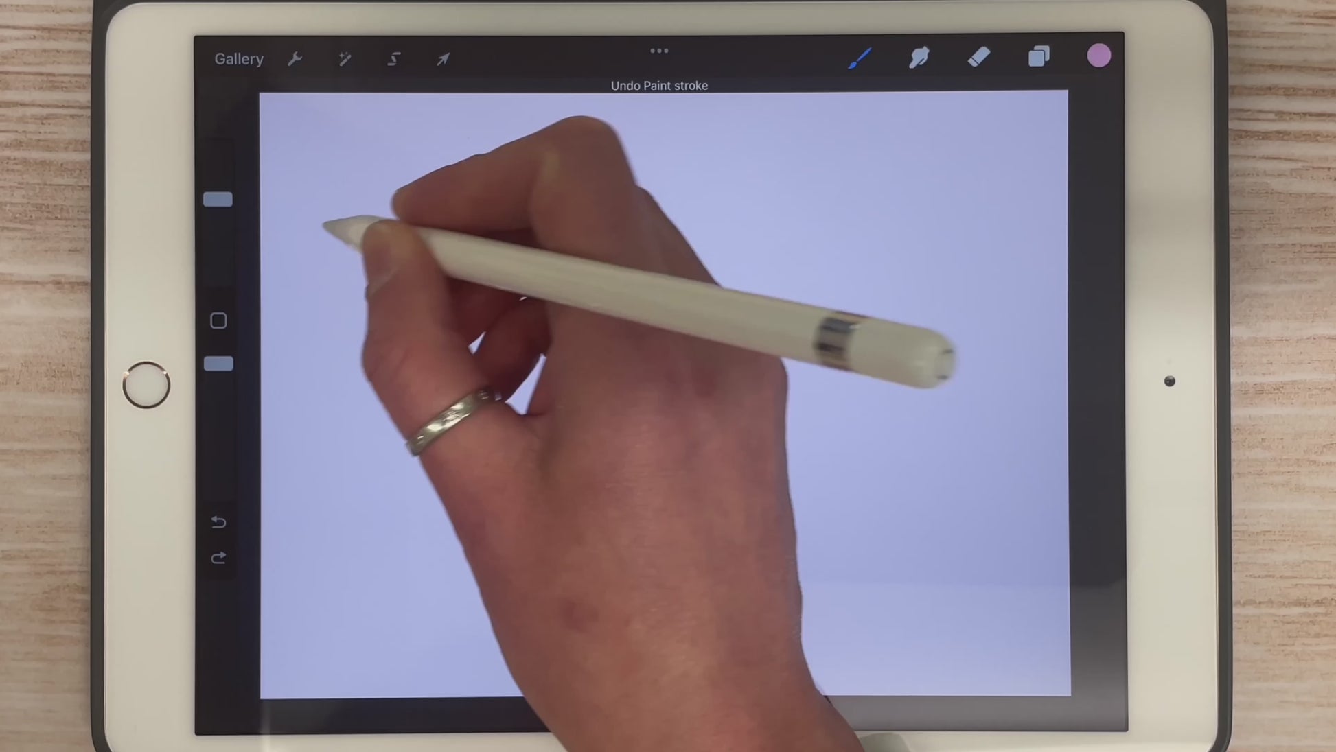 Hydrangea Brush Set for Procreate | Floral Petal Scatter Leaf Stamp Brushes, video